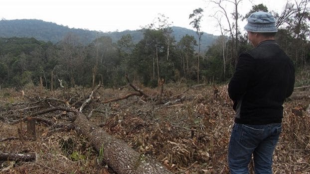 deforestation-web-aspect-ratio-16×9