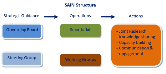 Flow chart of the SAIN structure