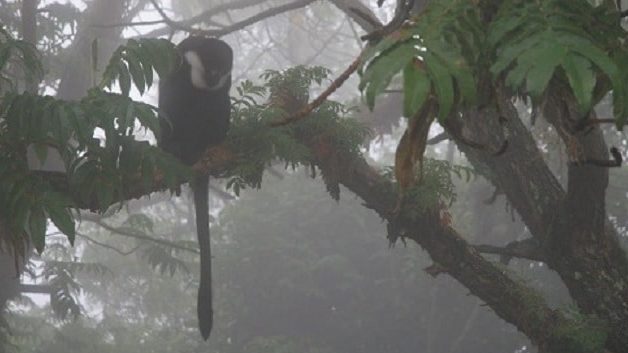 impacts-web-aspect-ratio-16-9