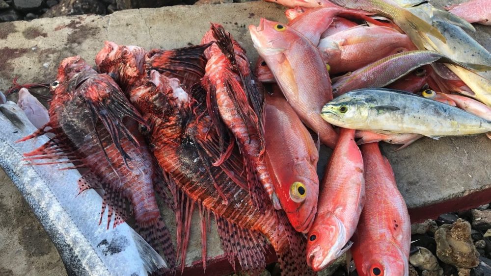 pic-aspect-ratio-16-9