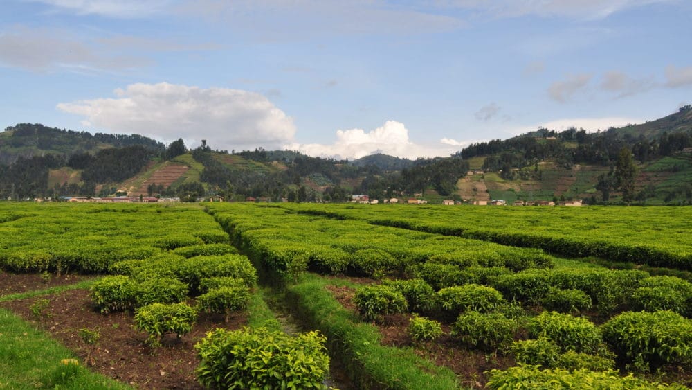 rwanda-pbr-scaled-aspect-ratio-16-9