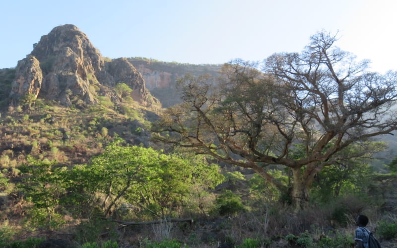 landscape in Karamja Uganda of a leafless tree in the foreground and a mountain in the background