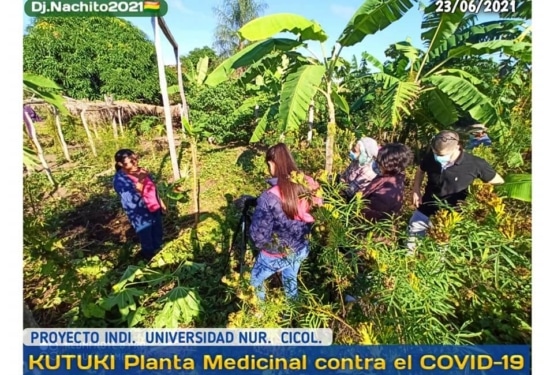 people walking through trees on a news screen